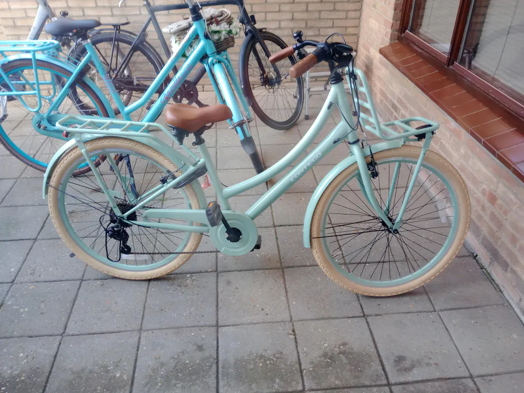 Transporter Meisjesfiets 26 inch - 7 Versnellingen - Groen