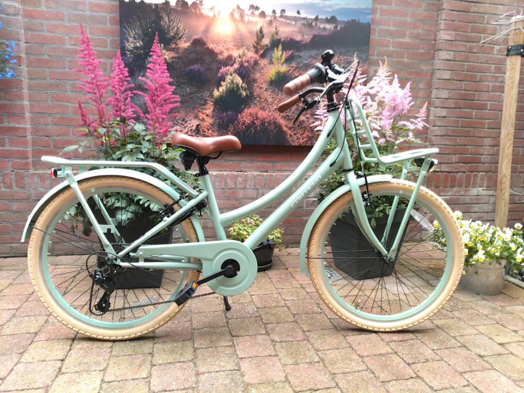 Transporter Meisjesfiets 24 inch - 7 Versnellingen - Groen