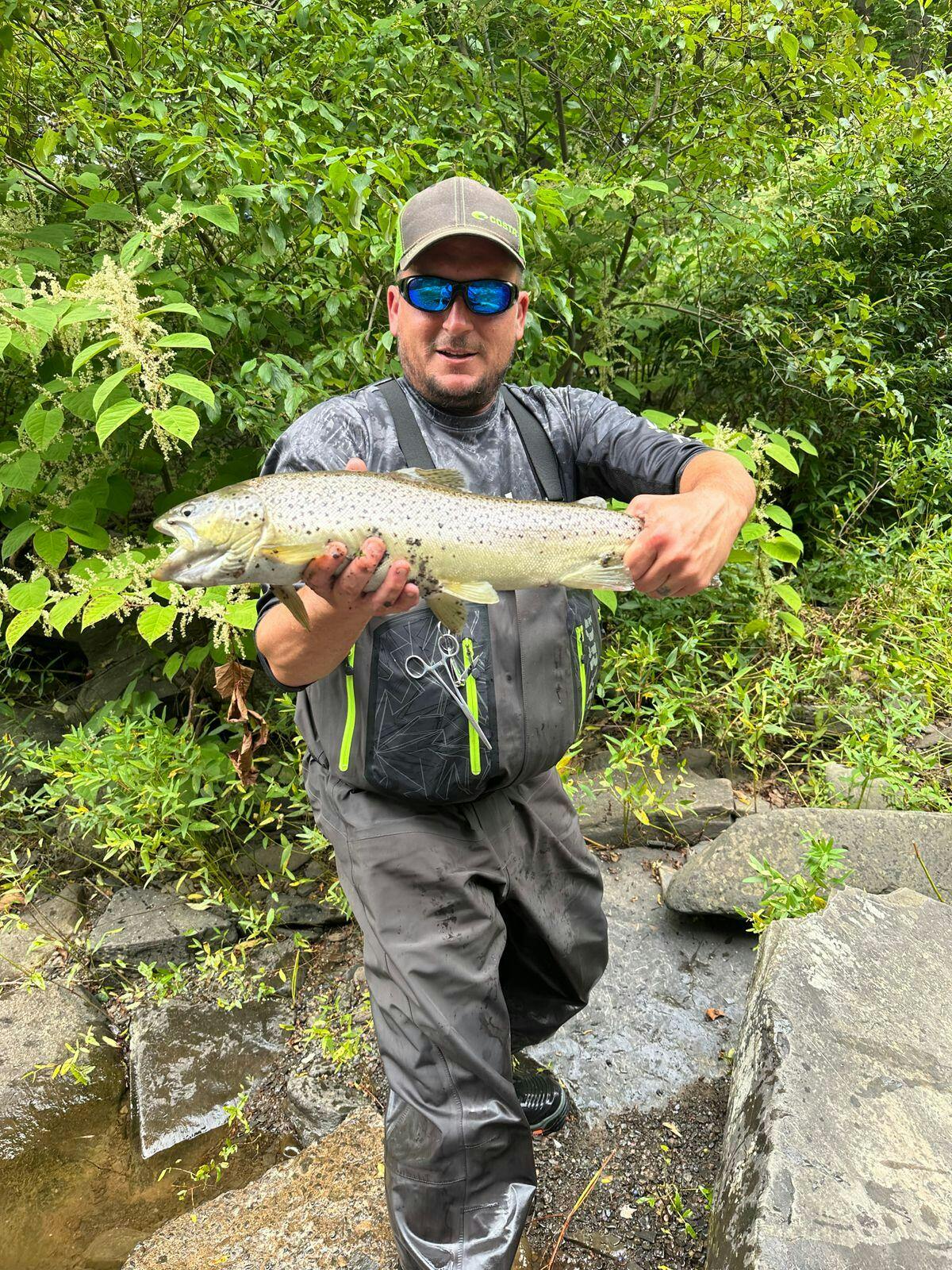 Finesse Trout II Fly Line | Versatile Trout Line for Dry Flies