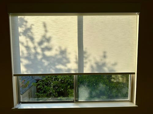 Smart Dual Roller Shades — Blackout & Light Filtering