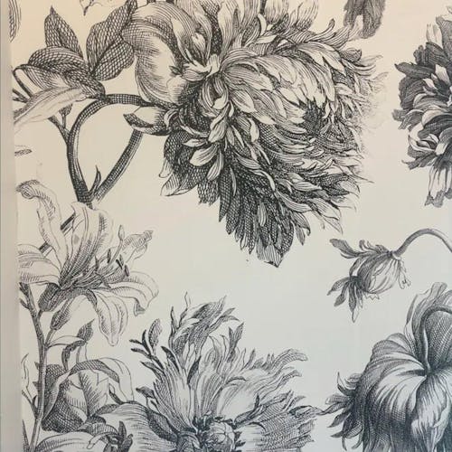 Black & White Flowers Wall Mural CCM052