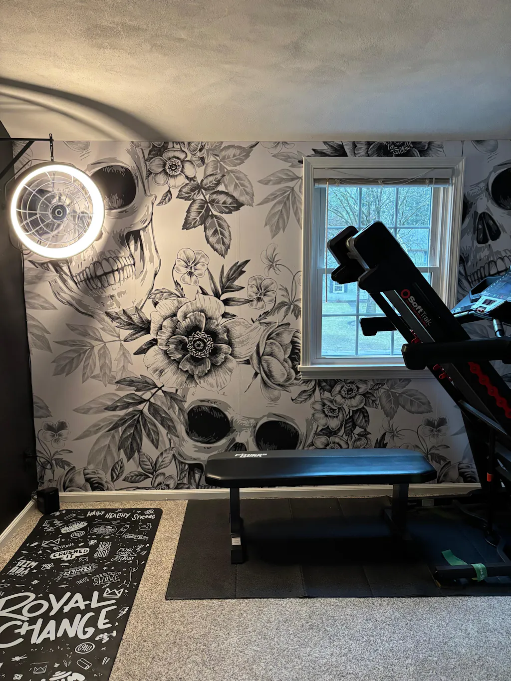 Black & White Skulls Wall Mural CCM065