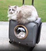 Pet Trolley Case（Up to 33 lbs/15kg）