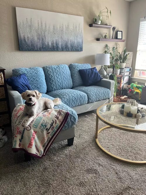 Coverfect Diamond Velvet Sofa Cover
