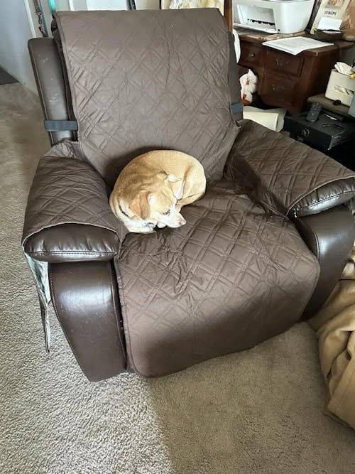 Coverfect Waterproof Diamond Quilted Recliner Cover