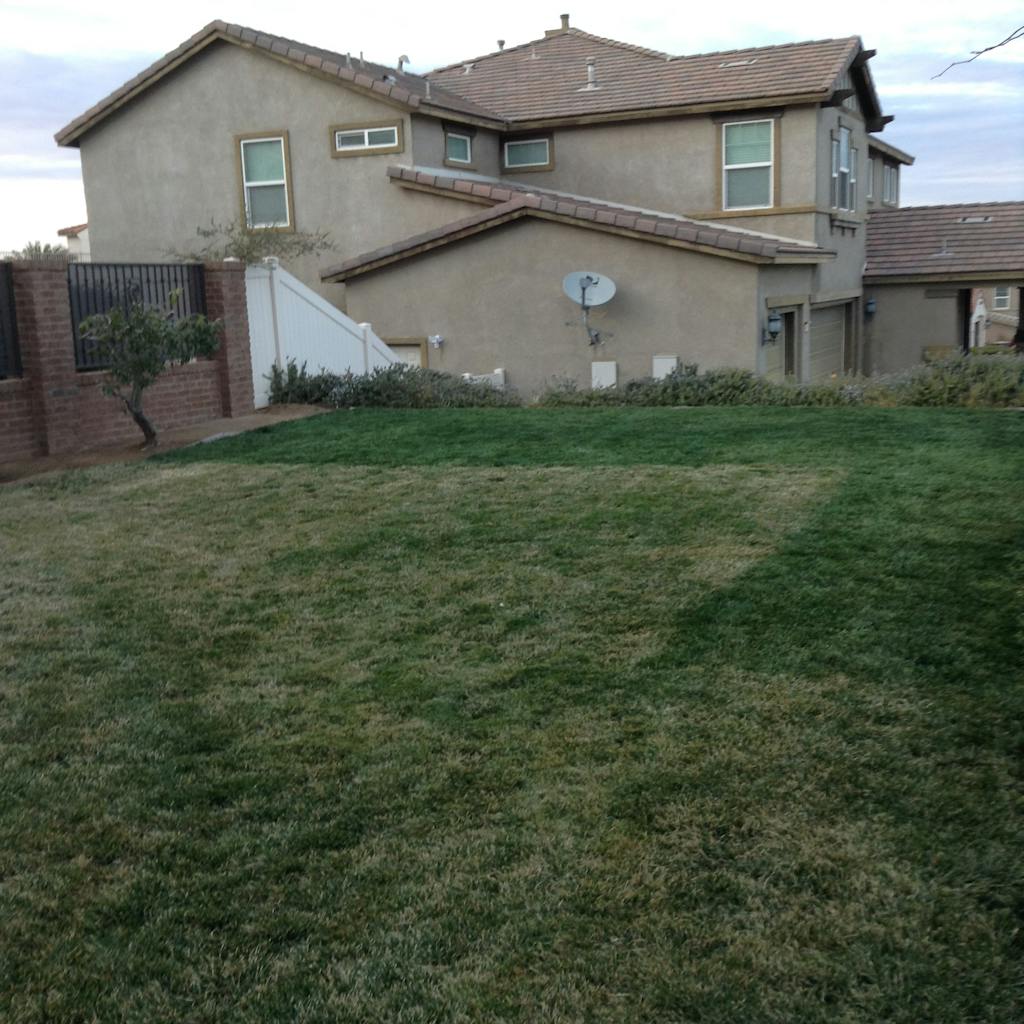 Grass Paint, Lawn Paint to Spray Grass Green, Grass Dye, Grass Spray