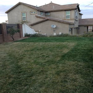Green Grass Paint For Lawn