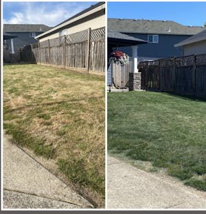 Green Grass Paint For Lawn