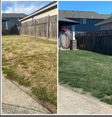 Green Grass Paint For Lawn