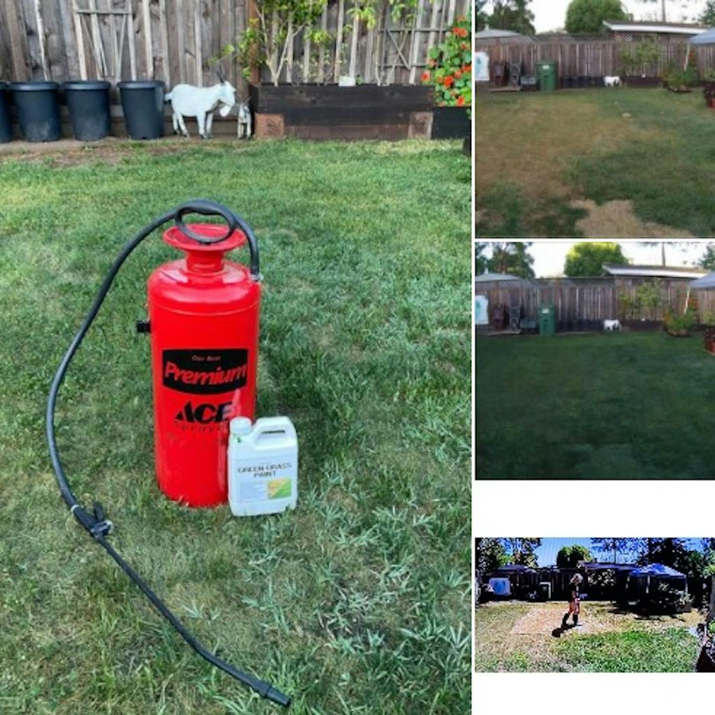 Grass Paint, Lawn Paint to Spray Grass Green, Grass Dye, Grass Spray