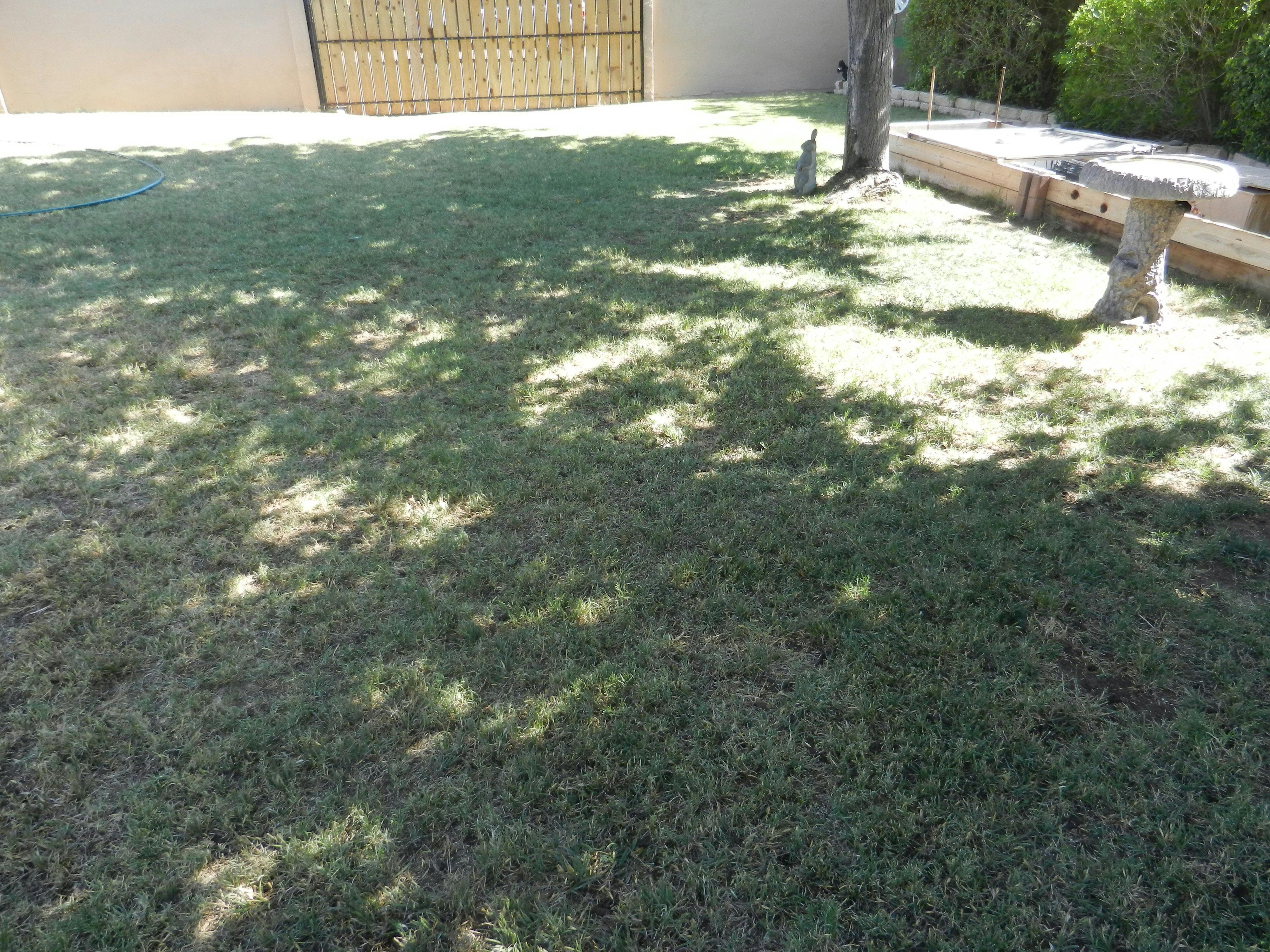 Enzyme Max® Liquid Lawn Aerator, Easier than Core/Mechanical Aeration