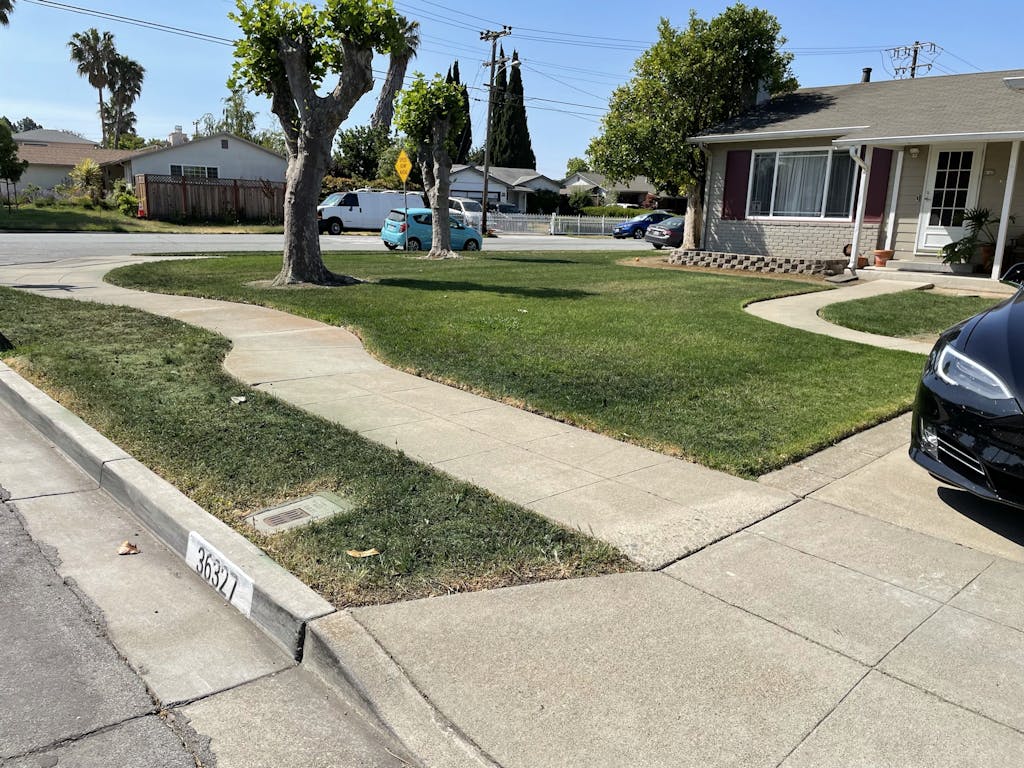 Grass Paint, Lawn Paint to Spray Grass Green, Grass Dye, Grass Spray Paint, Green Lawn Paint