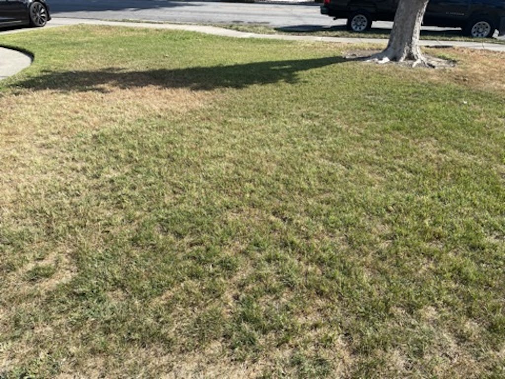 Grass Paint, Lawn Paint to Spray Grass Green, Grass Dye, Grass Spray