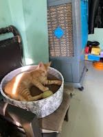 The Bella Bed - Madagascar