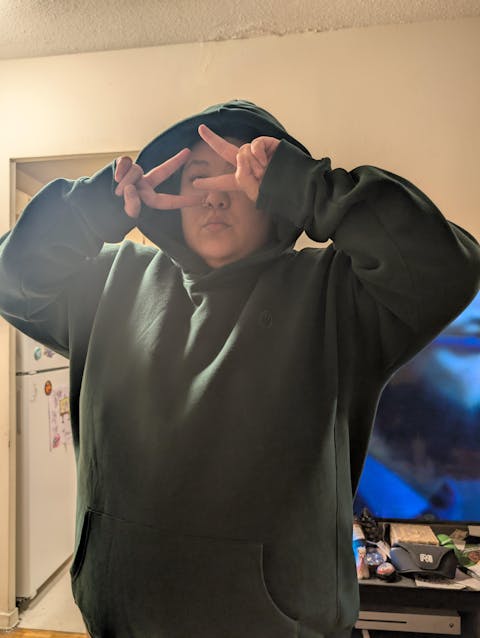 Cloud Pullover Hoodie — Ivy