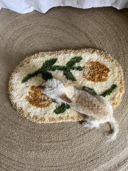 TULIP FEVER - AMSTERDAM Latch Hook Rug Making Kit | Craft Club