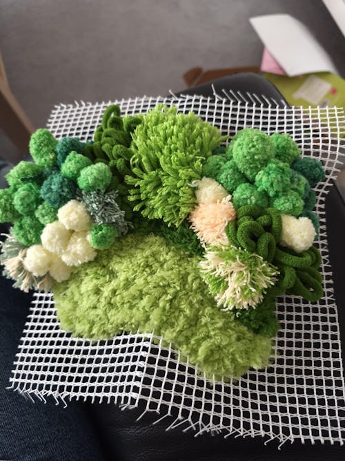 GREEN OASIS - Moss Coaster Kit