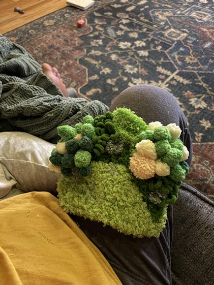 MOST MAGICAL Moss Bundle | Buy DIY Kits Online