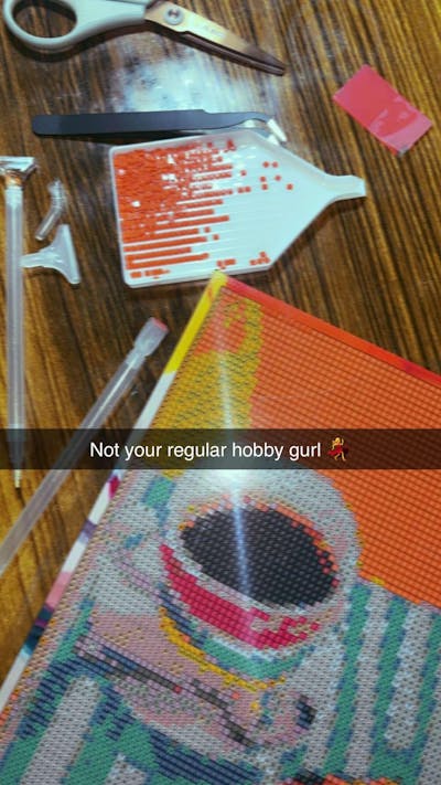 Squeeze the Day Paint by Number Mini Kit