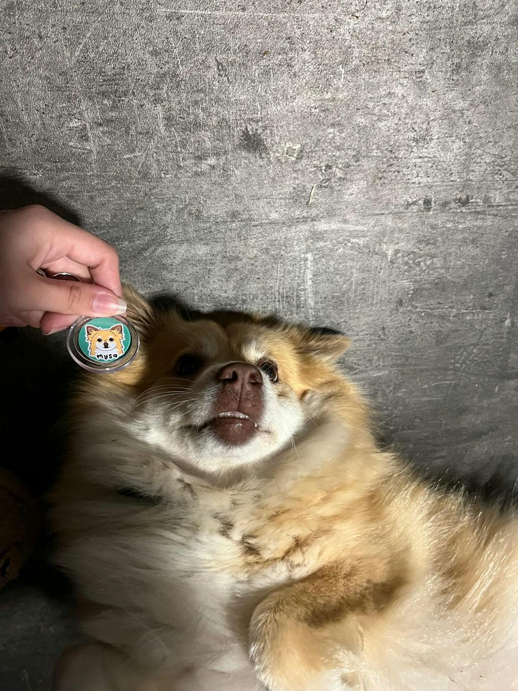 Porte-clé personnalisé