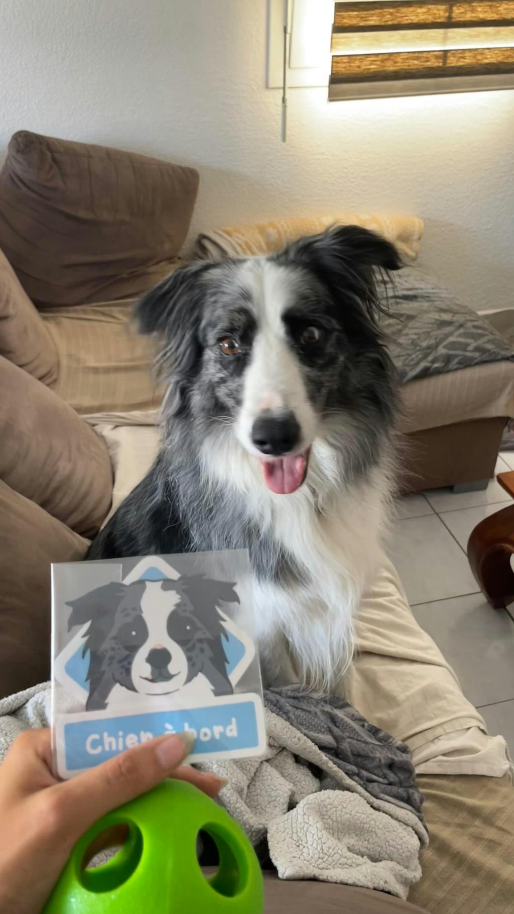 Autocollant signalétique animal personnalisé (x2)