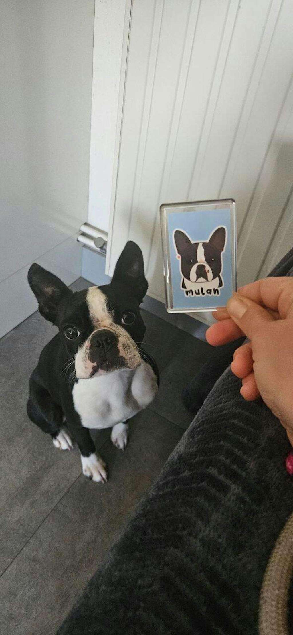 Magnet personnalisé