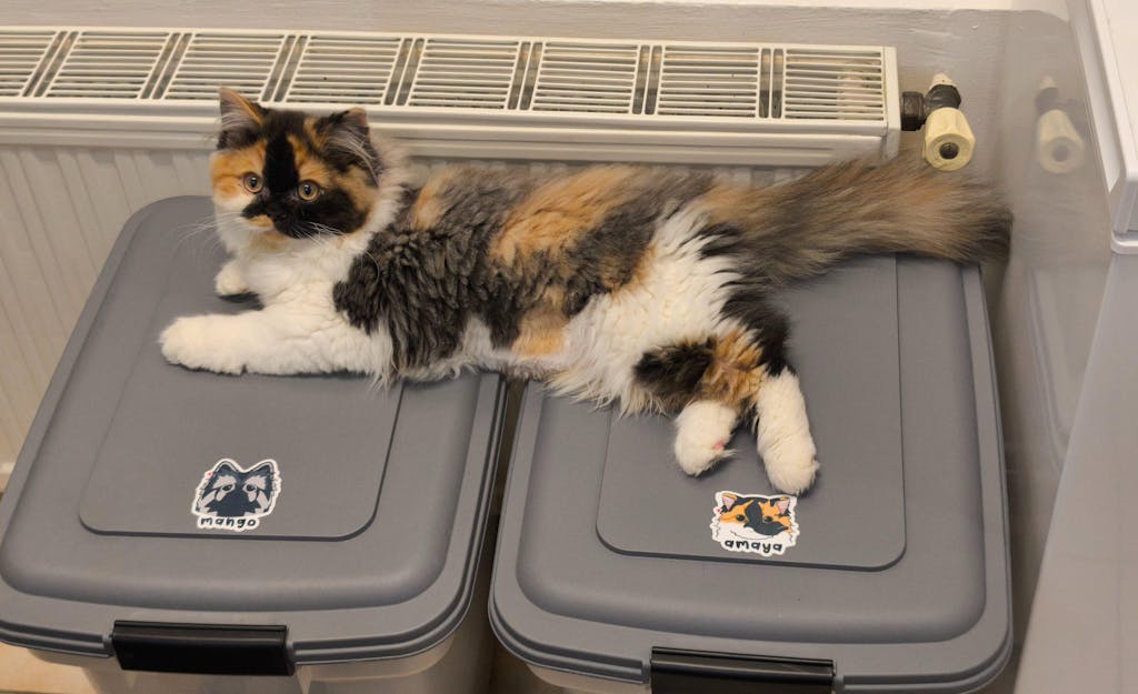 Autocollant animal personnalisé