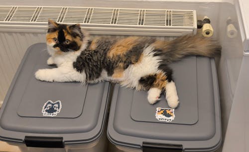 Autocollant animal personnalisé