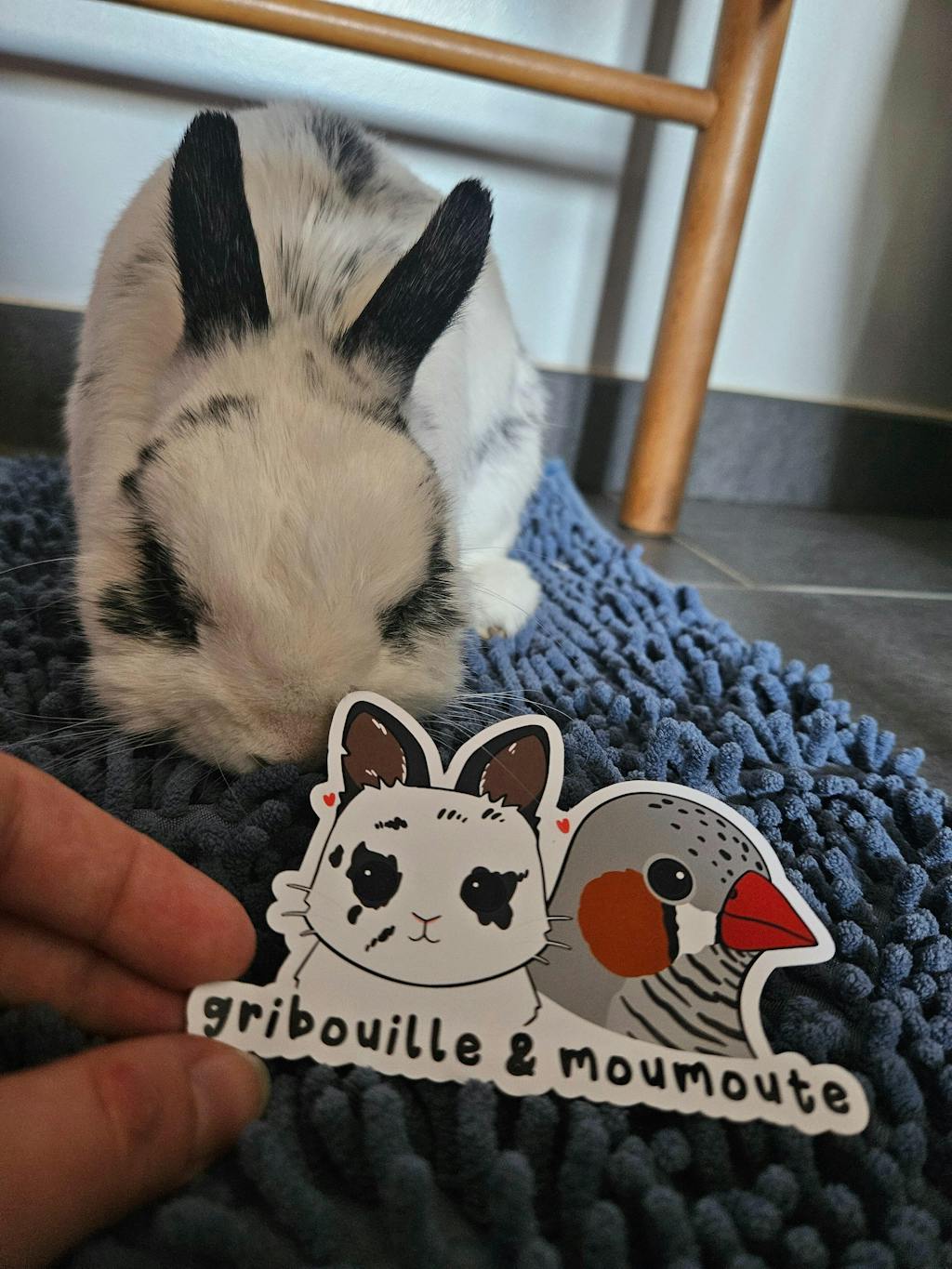 Autocollant animal personnalisé