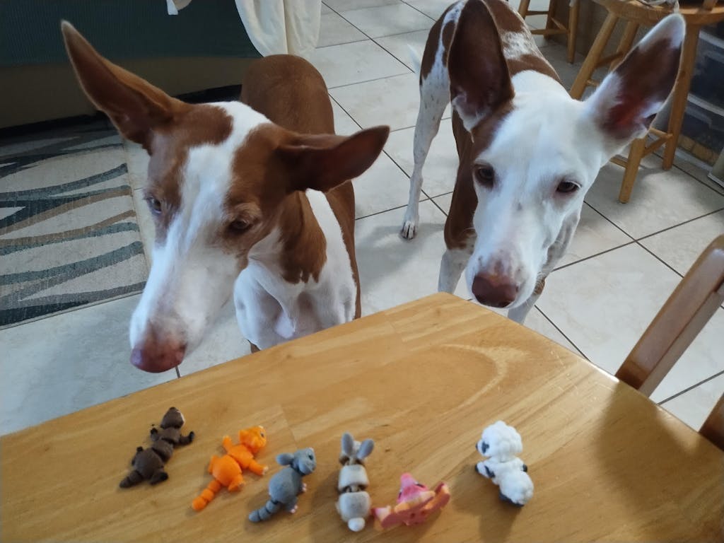 3D Printed Mini Fidget Creatures