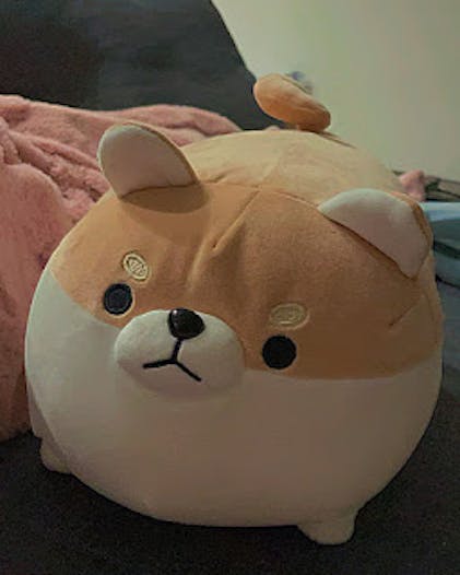 Angry shiba inu plush best sale