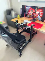 CSR1 GT Profile Sim Rig