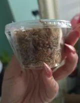 Tropical Pink Springtails