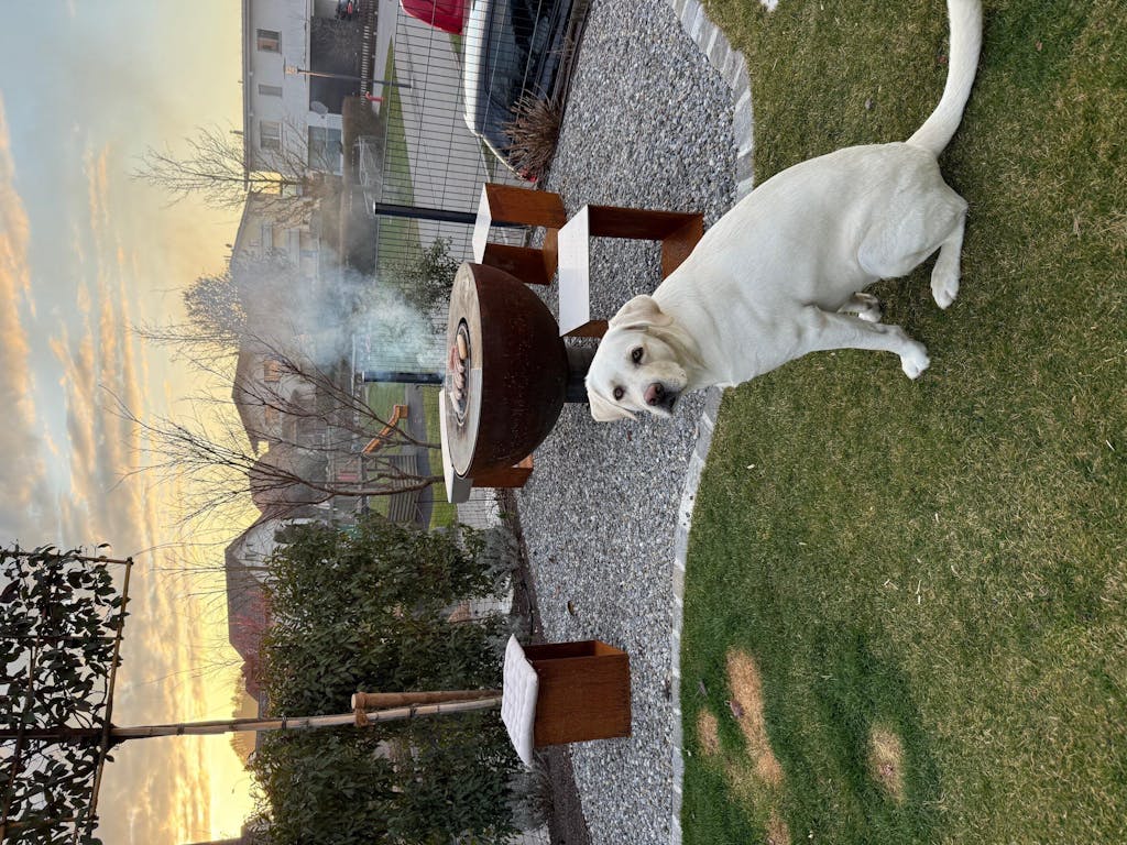 Sgabello chiuso, acciaio inox con acciaio inox