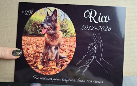 Plaque noire funéraire commémoratifs animal de compagnie avec Photo motif patte et main