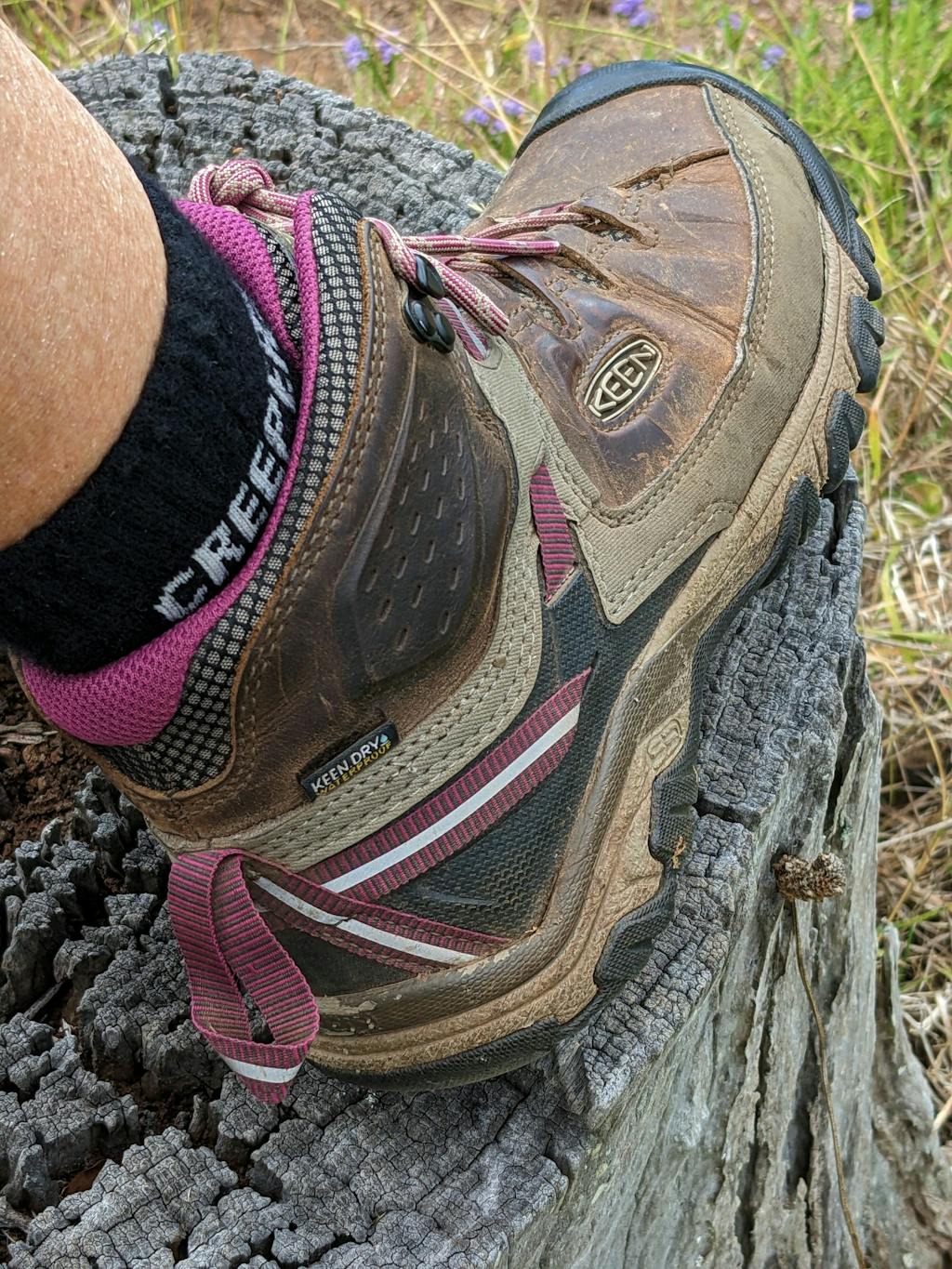 Reviews of Creepers Toe Socks