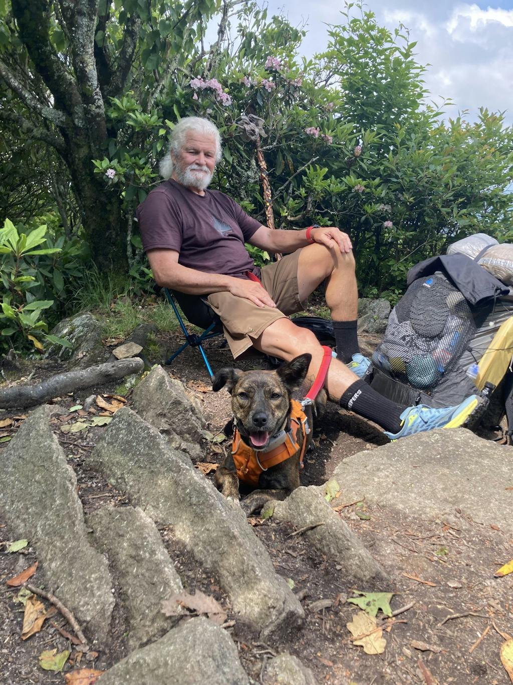 Reviews of Creepers Toe Socks