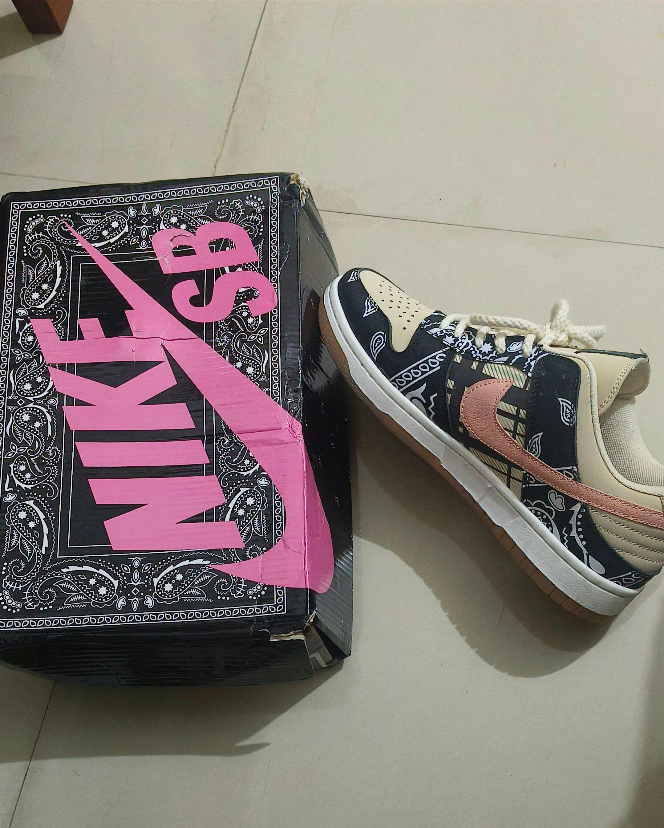 Nike SB Dunk Low Travis Scott (Special Box)