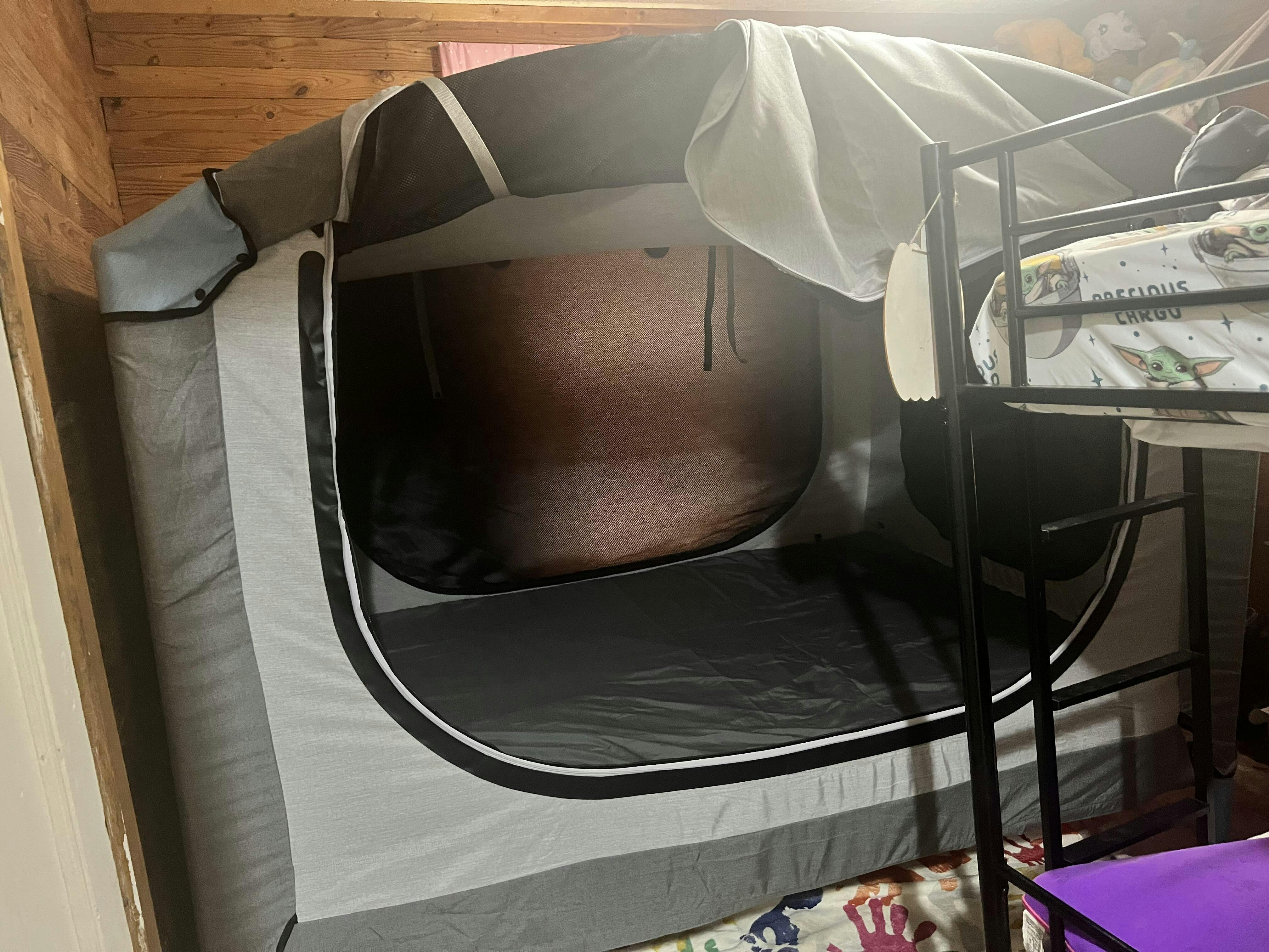 Shop Cubby Sensory + Safety Bed For Special Needs Cubby Beds