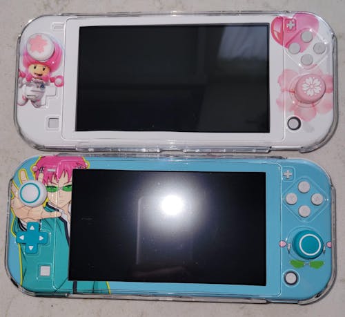 Custom Nintendo Switch Lite Skin