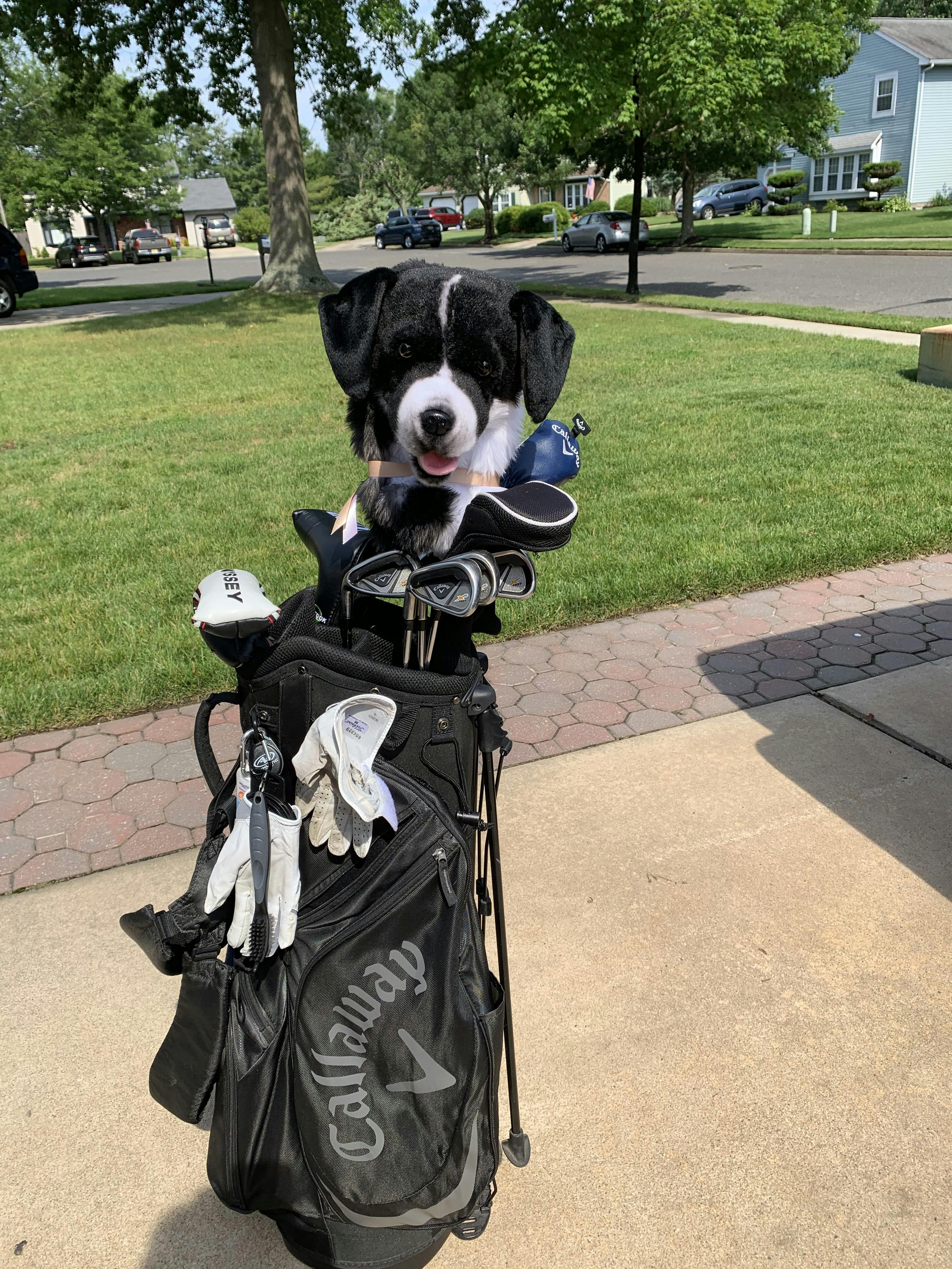 Custom Golf Headcovers of Pets Dogs & Cats Cuddle Clones