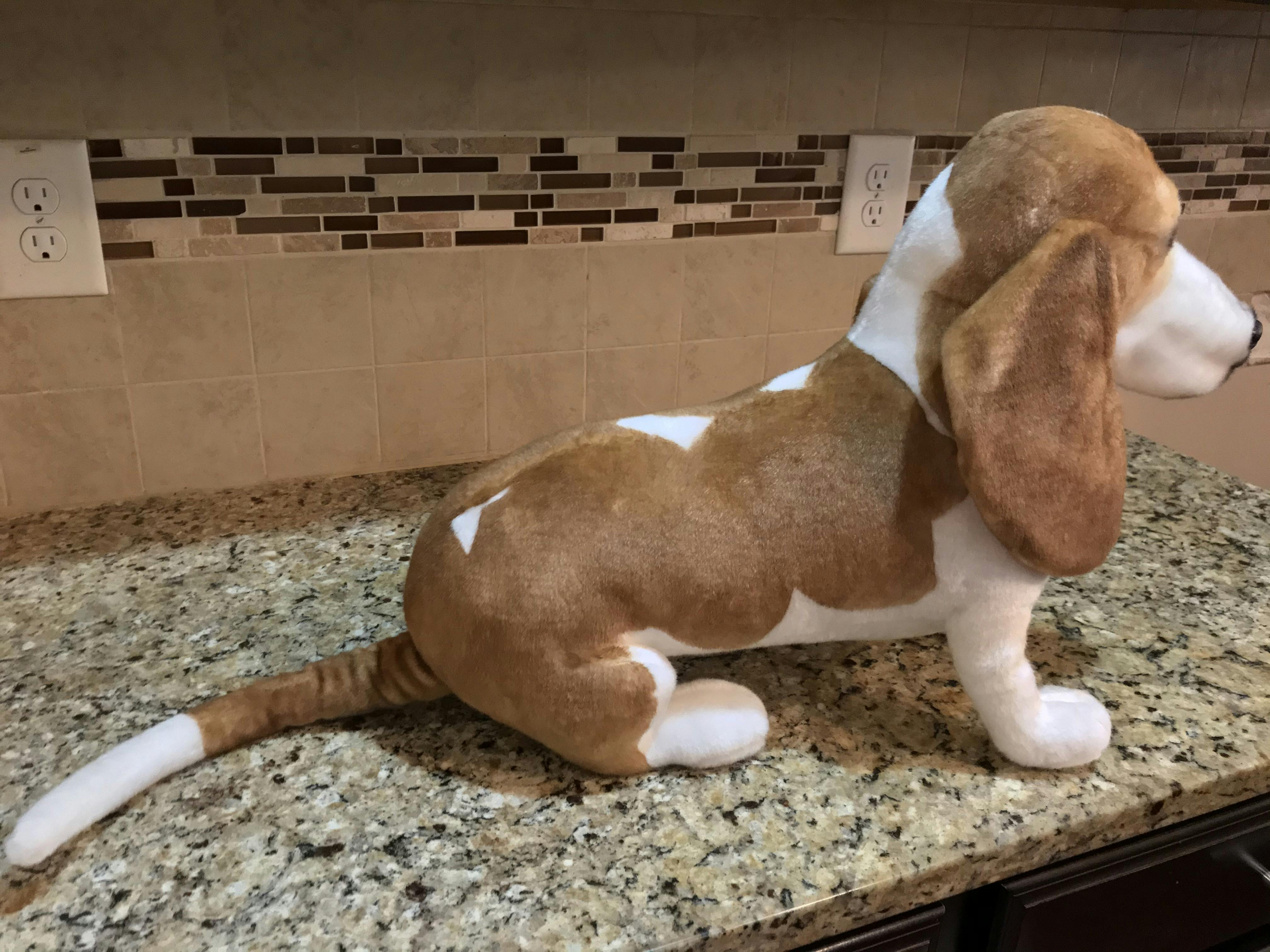 plush pet clones