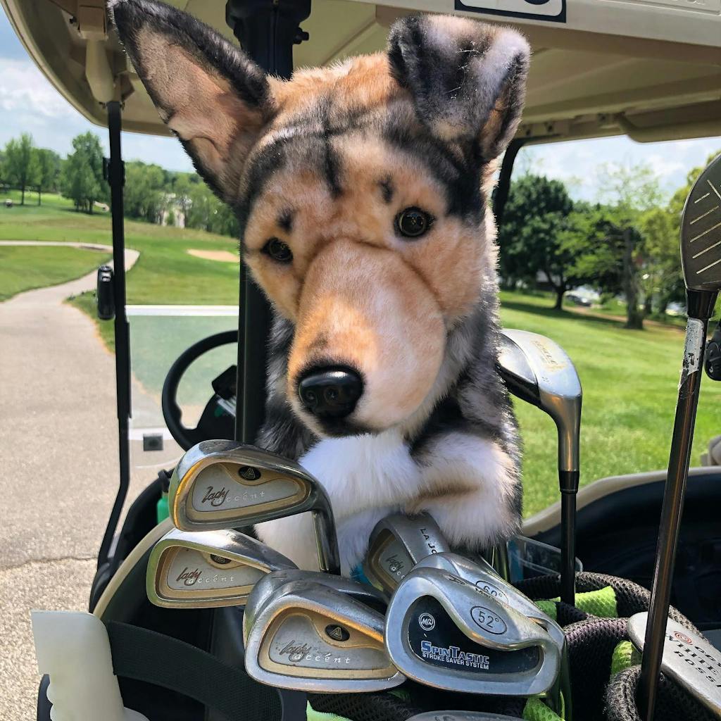 Custom Golf Headcovers of Pets Dogs & Cats Cuddle Clones