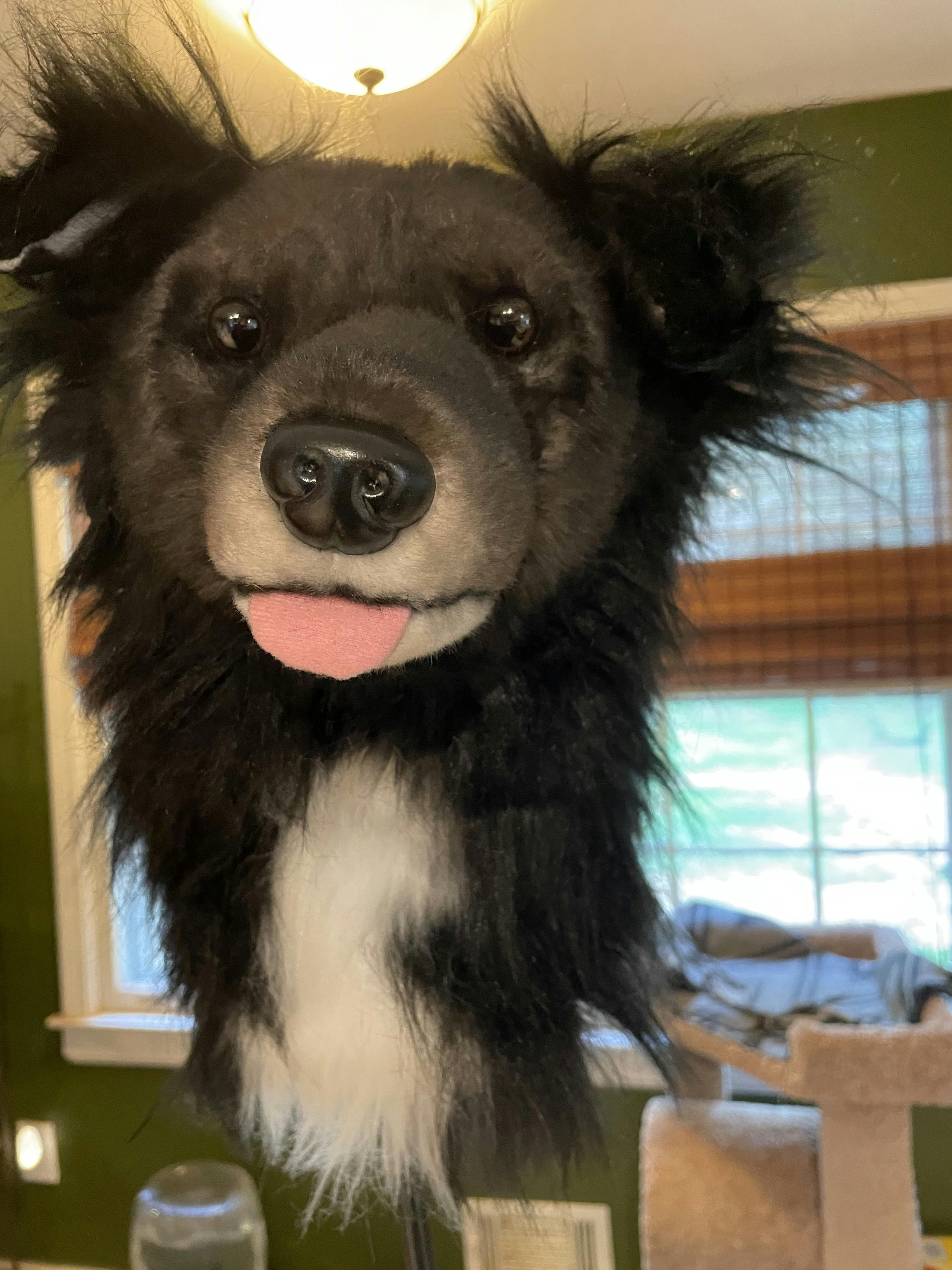 Product Reviews Cuddle Clones