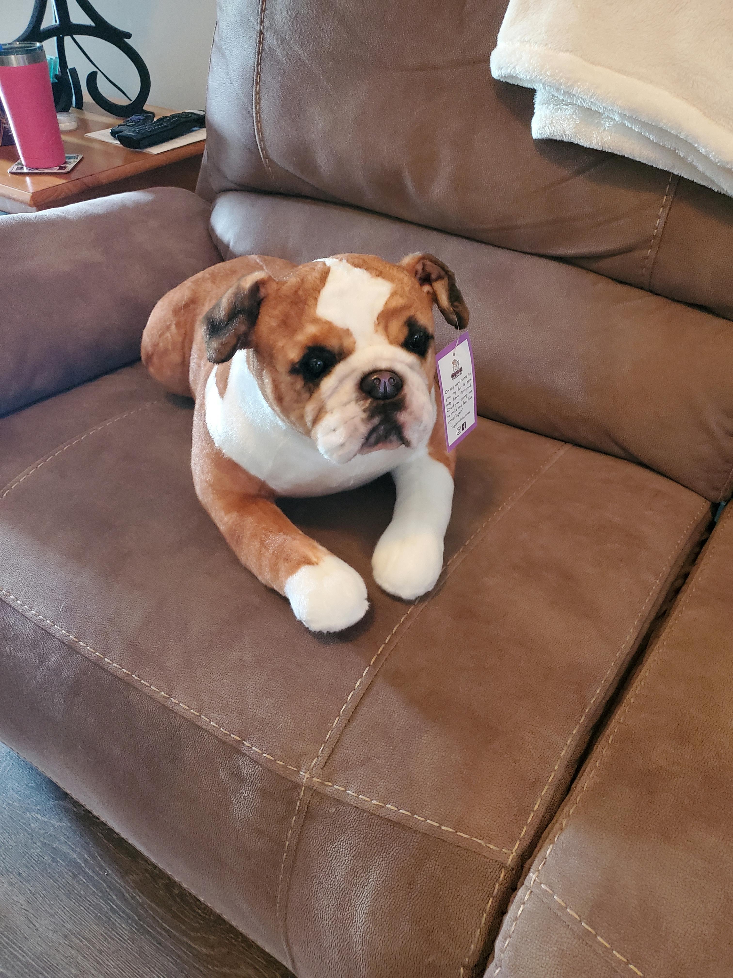 Product Reviews Cuddle Clones