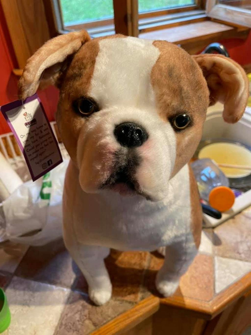 Product Reviews Cuddle Clones