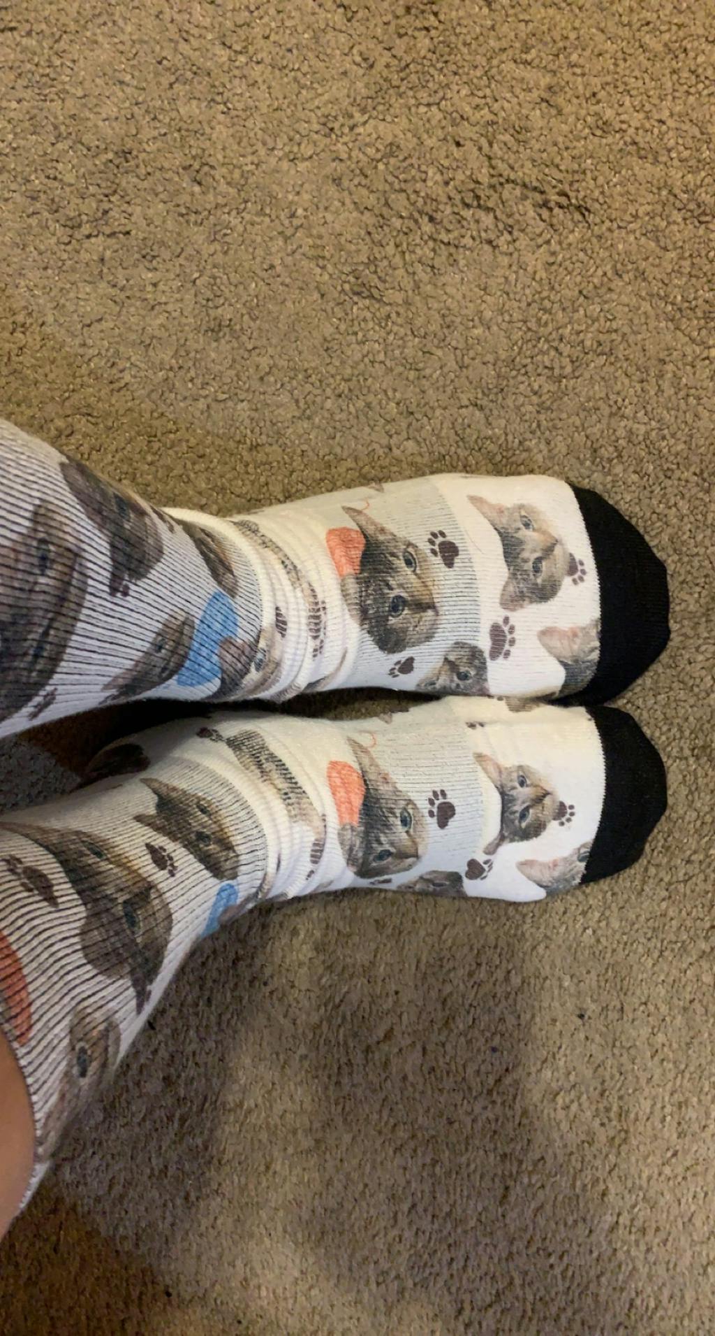 Custom Dog & Pet Socks Create Personalized Pet Socks with Your Dog's