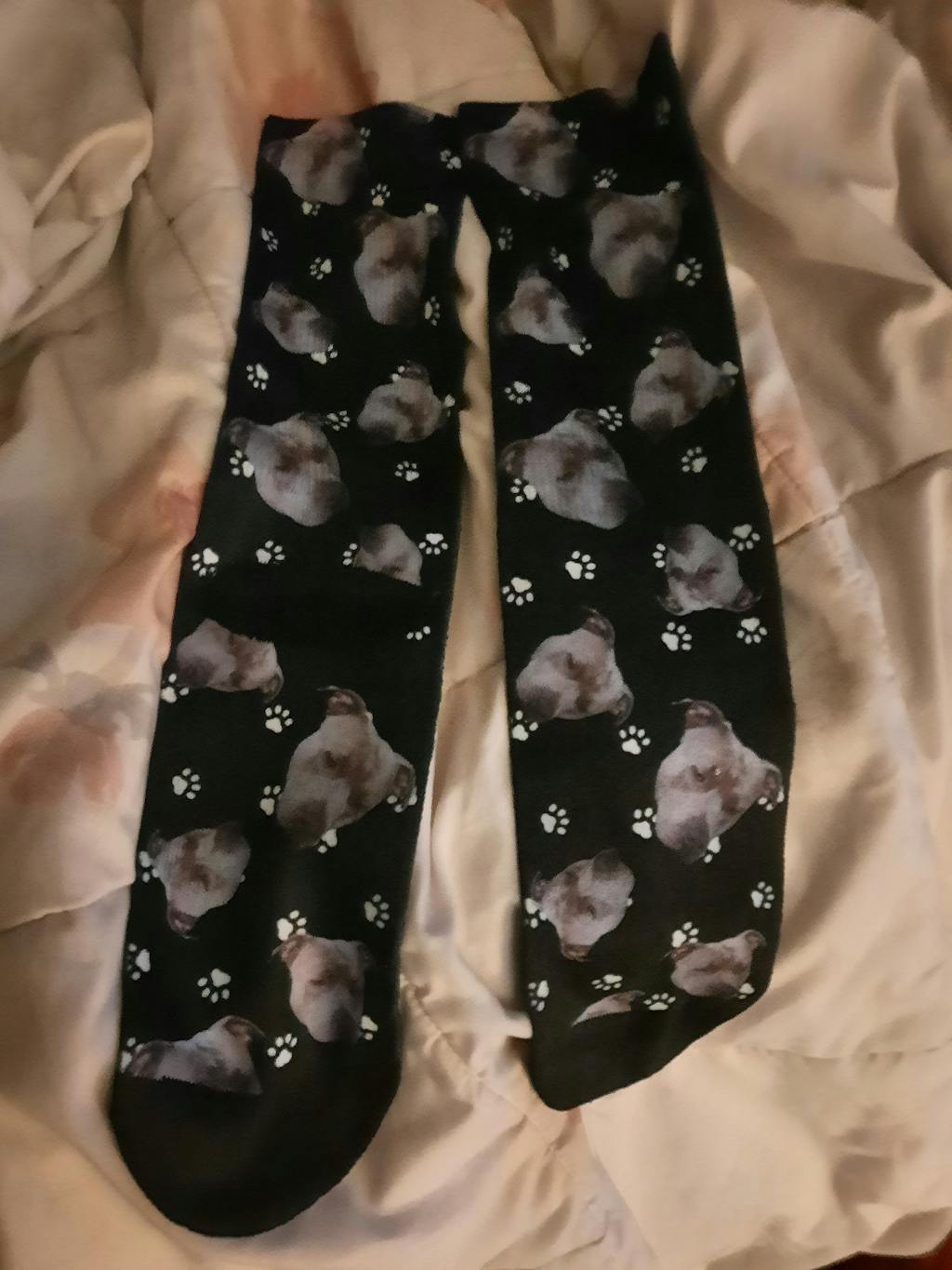 Custom Dog & Pet Socks Create Personalized Pet Socks with Your Dog's