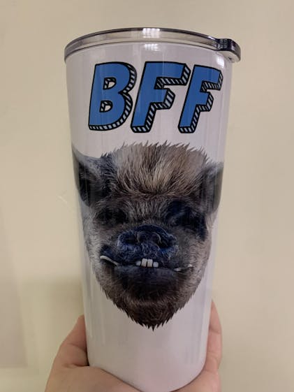 Personalized Pet Skinny Tumbler – Type League Press