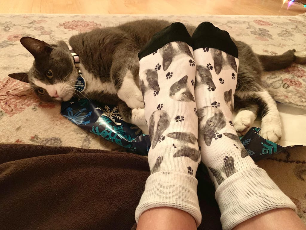 Custom Dog & Pet Socks Create Personalized Pet Socks with Your Dog's
